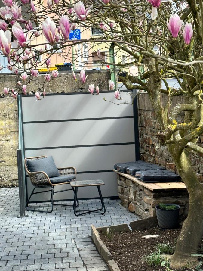 Ferienwohnung Sonnenseite 科赫姆 外观 照片
